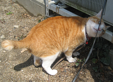 匂い確認。よーし!