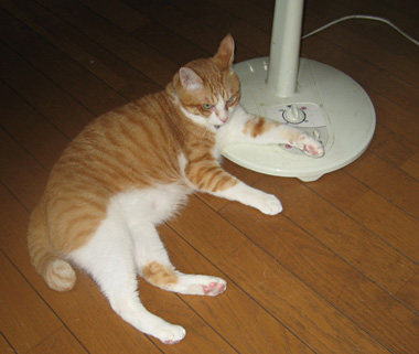 まったり〜♪