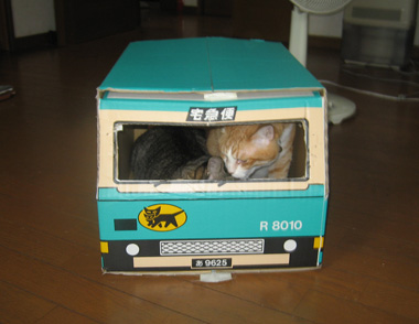 一緒に遊ぼ♪