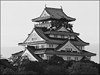 通訳案内士試験: 日本の城