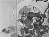 通訳案内士試験: 日本の絵画・壁画(2)