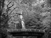 通訳案内士試験: 日本の国定公園(2)