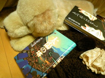 100125_175446_ed.jpg