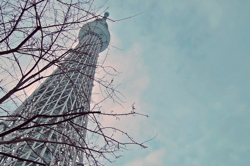 skytree-mitsuki.jpg