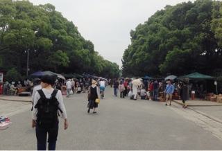 箱崎骨董市 ヒラカワスナオ日記