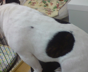 20080826140752.jpg