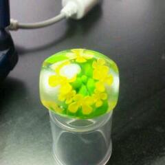 20130304_191552.jpg