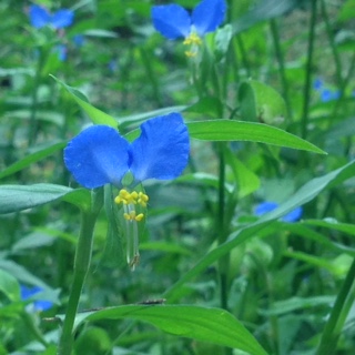 image1.JPG