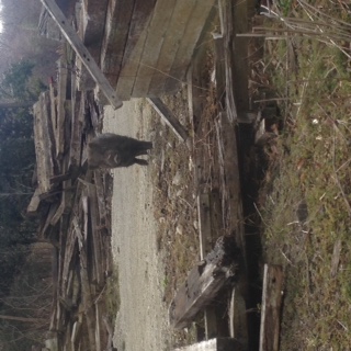 image1.JPG