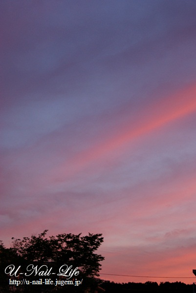 DSC03917.JPG