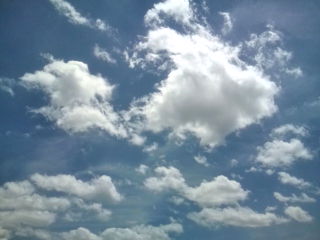 20100718115948.jpg