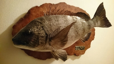 さ