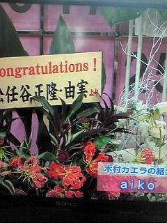 20100203121300.jpg