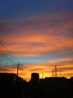 いつか見た夕焼け Popの学校 放課後の道草