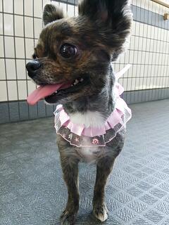 20140907_162921.jpg
