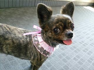 20140907_162826.jpg
