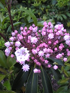 Image106.jpg