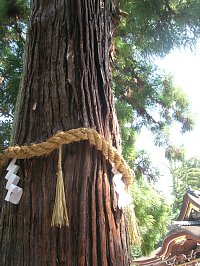 大神神社
