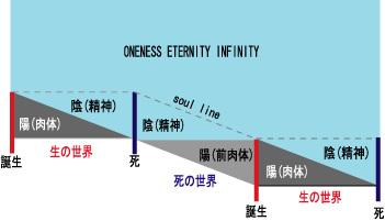 陰陽ライフサイクル