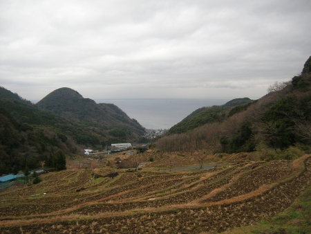 冬の石部棚田