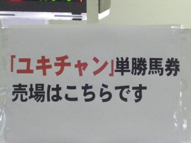 ¥æ¥¥Á¥ã¥óÀìÍÑÁë¸ý