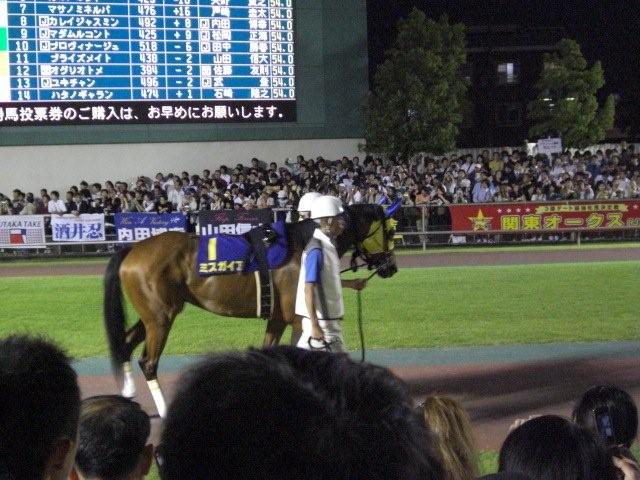 ミスガイア