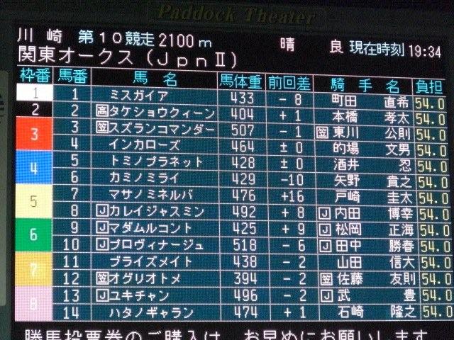 パドック