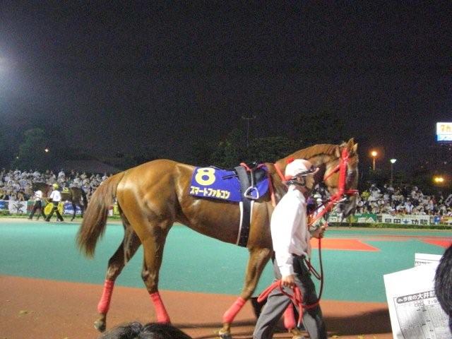 スマートファルコン