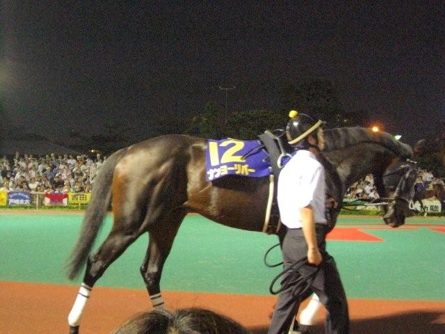 ナンヨーリバー