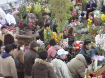 DSC06814.JPG