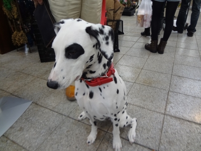 DSC06828.JPG