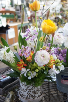 DSC07873.JPG