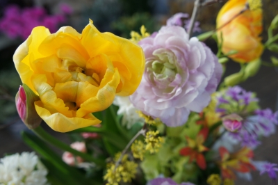 DSC07860.JPG