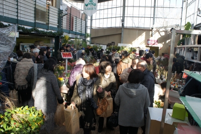 DSC08783.JPG