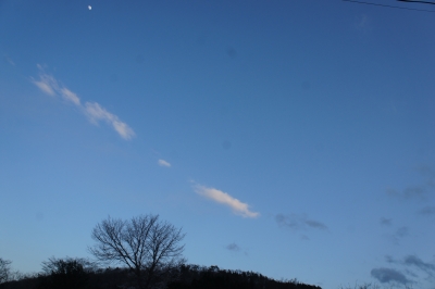 DSC01024.JPG