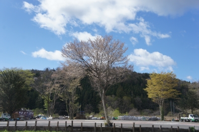 DSC01221.JPG
