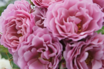 2013-06-13 15.09.46.jpg