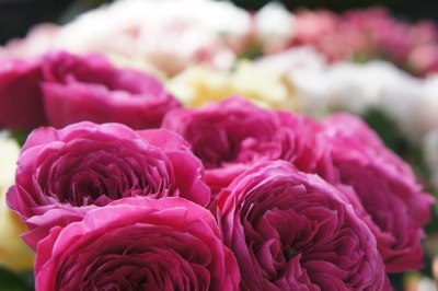 2013-06-14 09.04.16.jpg