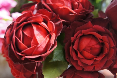 2013-06-14 09.00.49.jpg