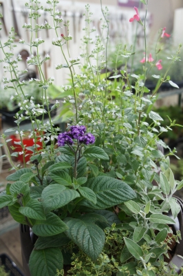 2013-07-06 15.29.00.jpg