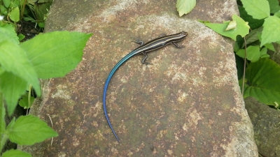 20130803_121023.jpg