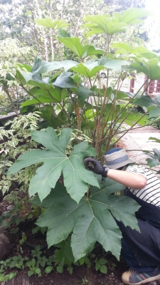 20130803_121946.jpg