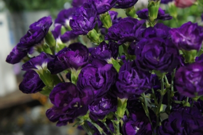 2013-08-11 20.28.12.jpg