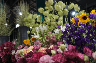 2013-08-11 20.28.59.jpg