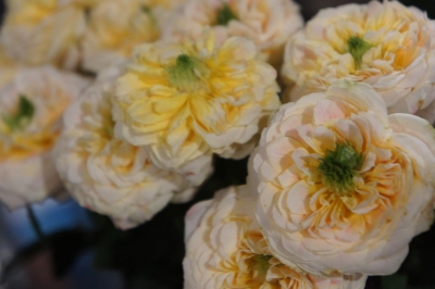2013-08-11 20.35.23.jpg