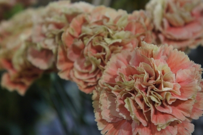 2013-08-11 20.38.24.jpg