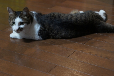 DSC01669.JPG