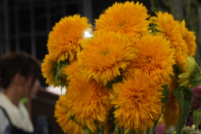 2013-08-12 20.57.23.jpg