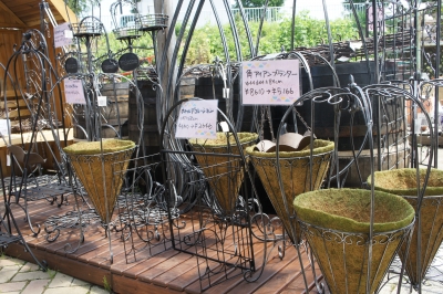 2013-08-15 10.48.14.jpg