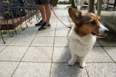 2013-08-15 10.48.29.jpg